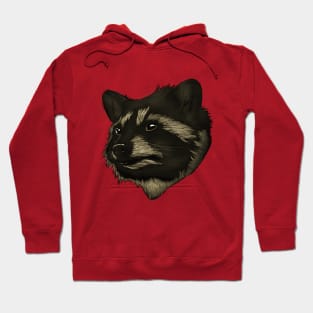 Rocky Raccoon Hoodie